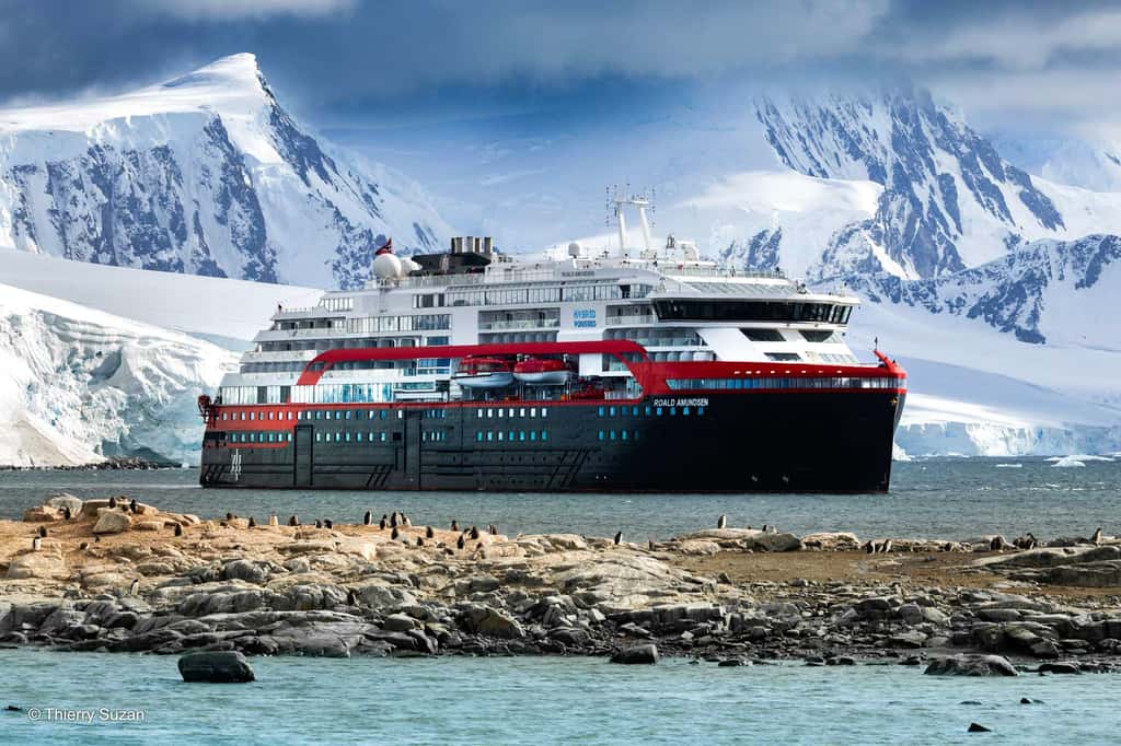 Le MS Roald Amundsen, navire de la compagnie HX Expeditions, jette l’ancre dans la baie qui abrite une immense colonie de manchots papous. Incapables de voler, les oiseaux se regroupent par milliers en colonie pour se protéger du froid et des innombrables dangers, Damoy Point, Antarctique, © Thierry Suzan – Tous droits réservés
